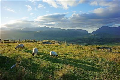 Ring of Kerry